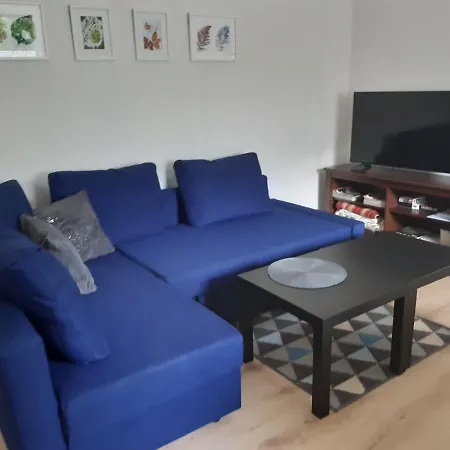 Apartment Horni C. 3 *