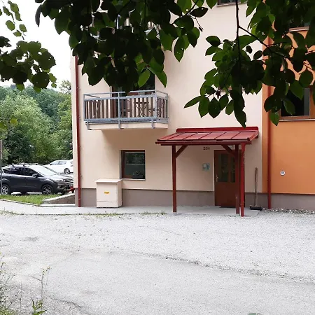Apartment Horni C. 3