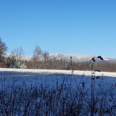 Horni C. 3 Apartment