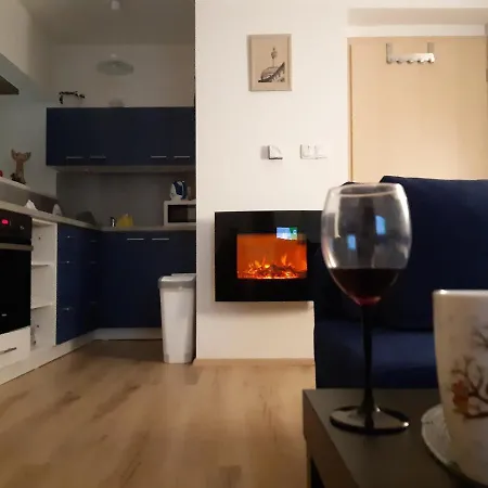 Horni C. 3 Apartment Lipova Lazne